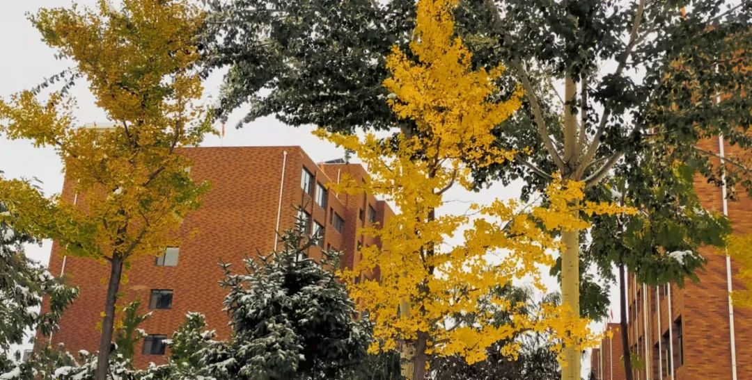 深秋等你到来,深秋等你来