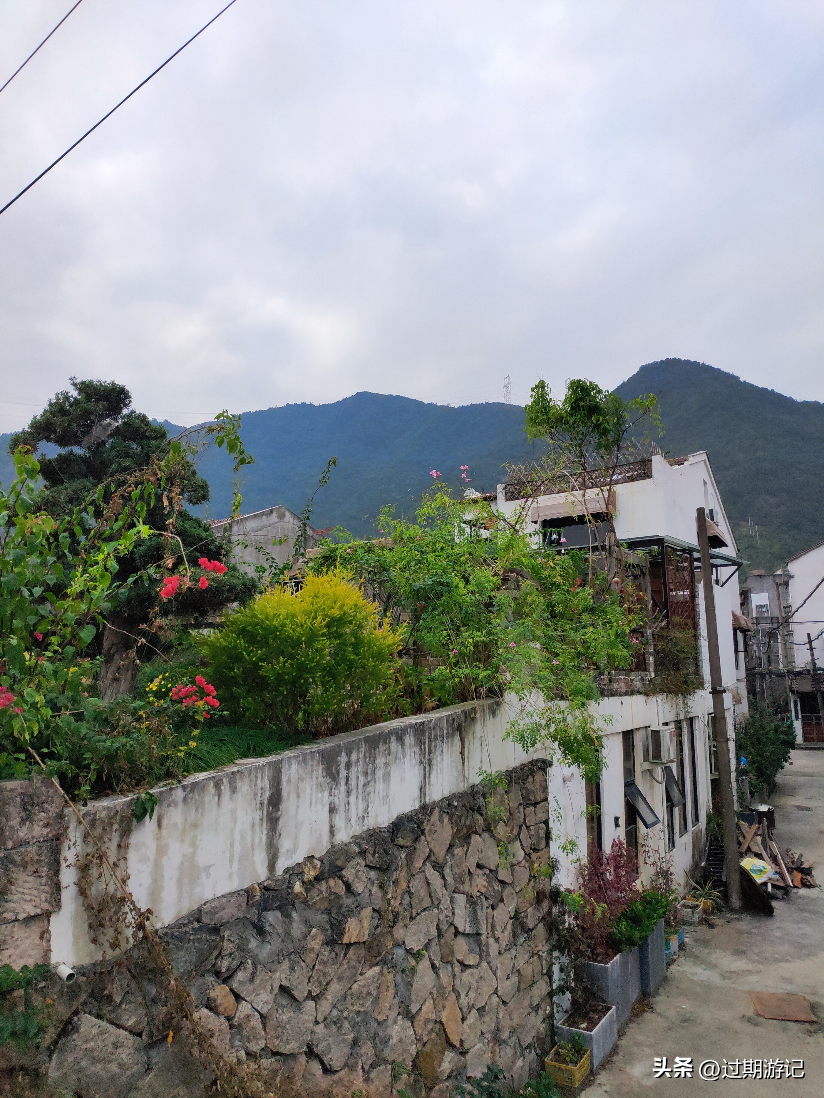 青田县旅游必买的东西,侨乡青田旅游的好选择