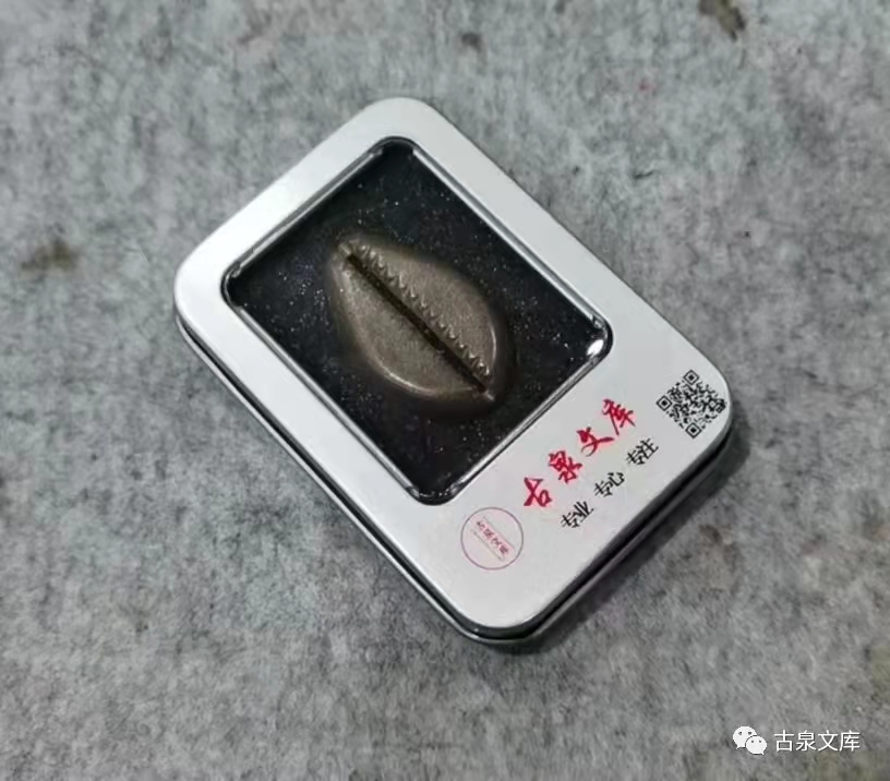 天然贝币真品价格,原始贝币发展史