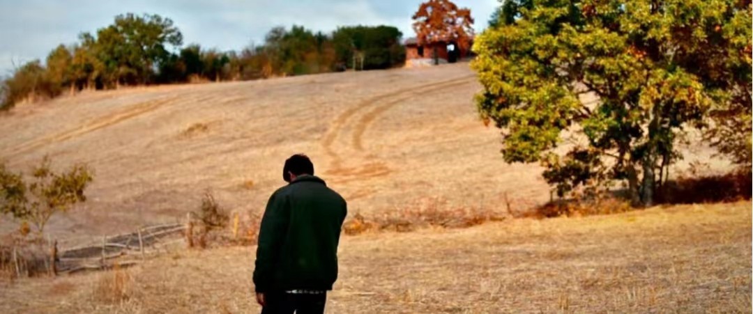 野梨树完整版免费观看,关于野梨树的电影
