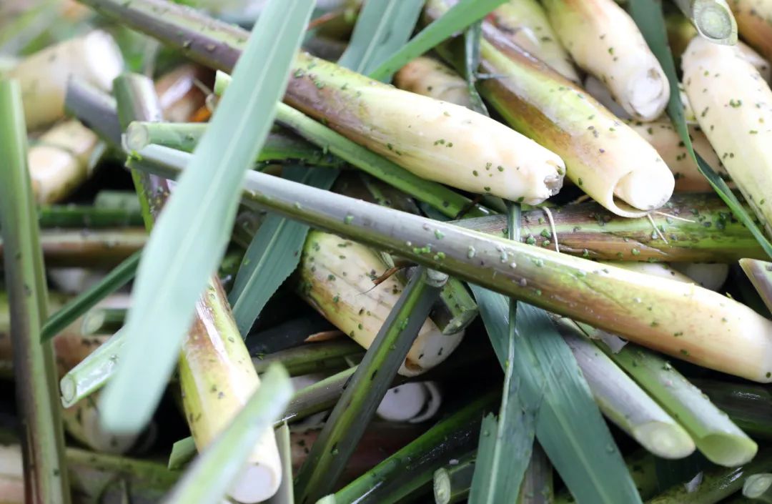 这个周六，瓶窑张堰千“茭”百态初夏游，约不？