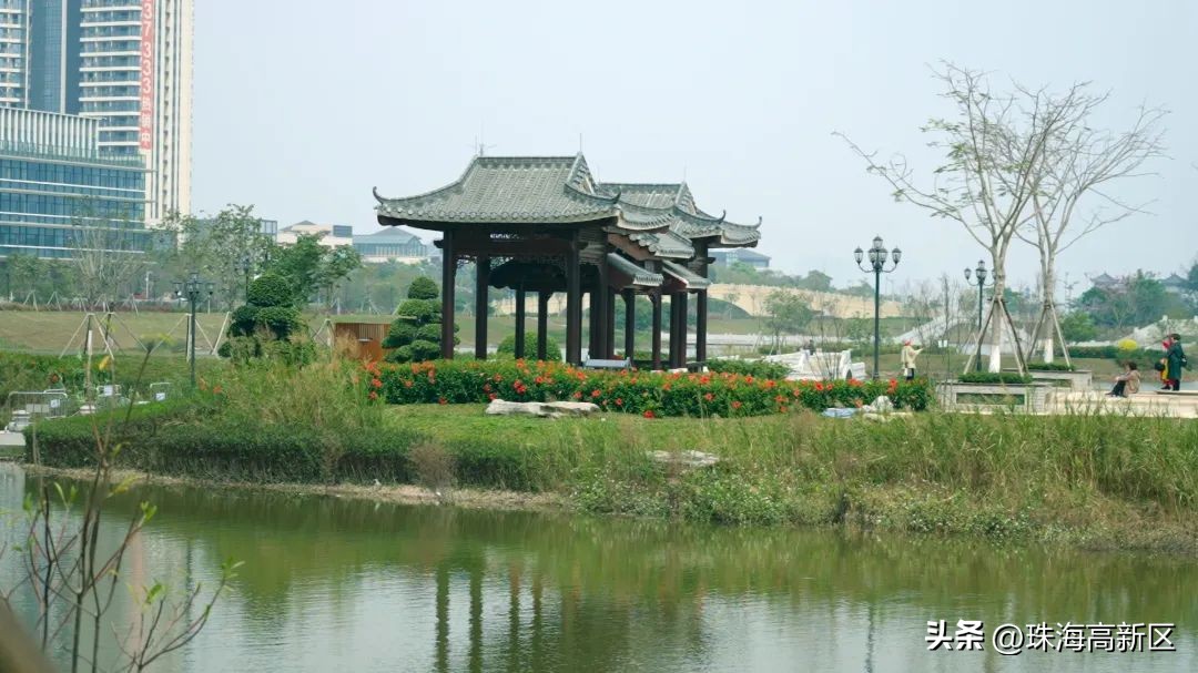 遛娃必看！这些春日色彩，就藏在高新区的公园里…