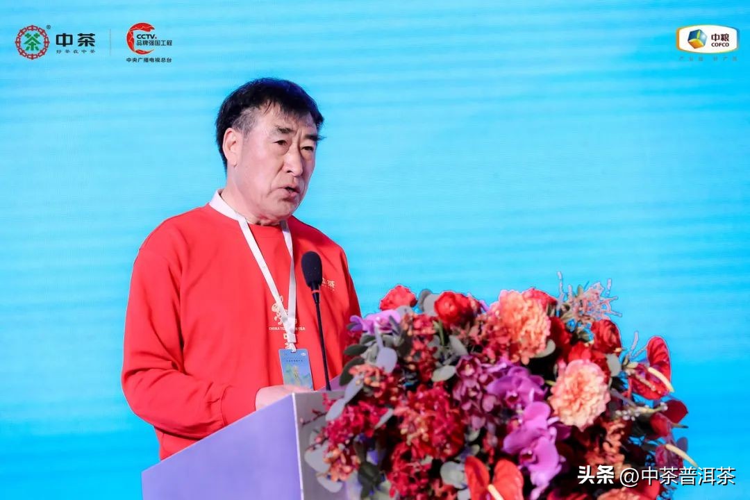 中茶普洱茶经销商信息大会,中茶2024年经销商大会