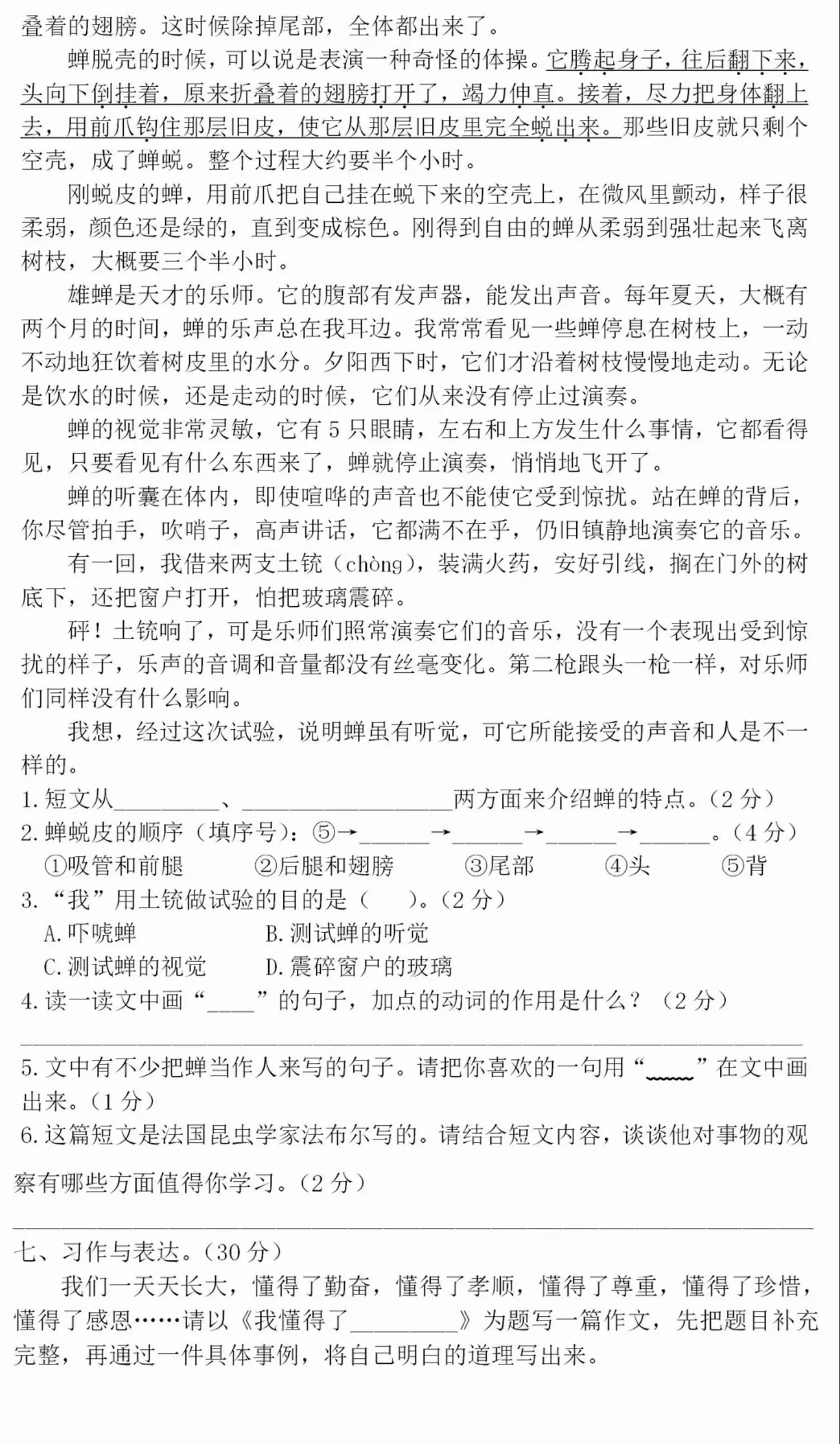 四年级语文上册期末测试卷答案,2021-2022四年级上册语文期末答案