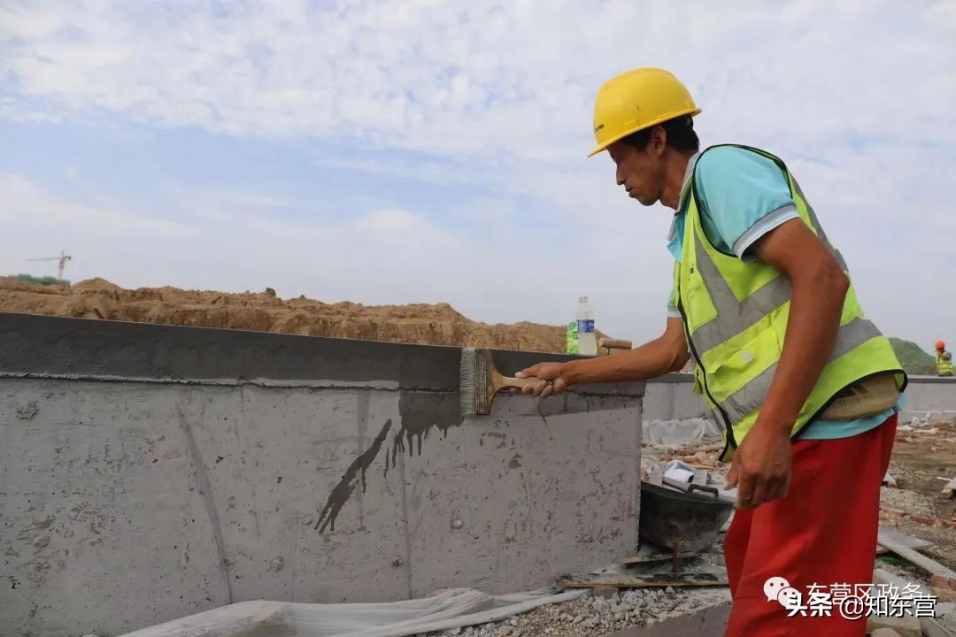 东营泮水公园火爆,东营泮水公园有植物吗