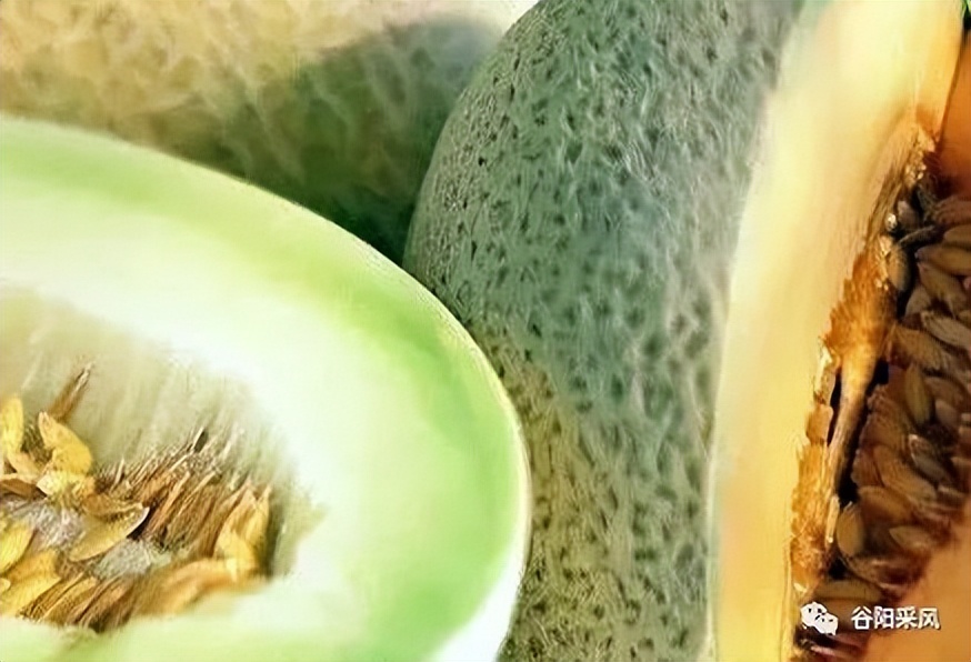 固镇美味香喷喷的小香瓜,话说固镇之722）