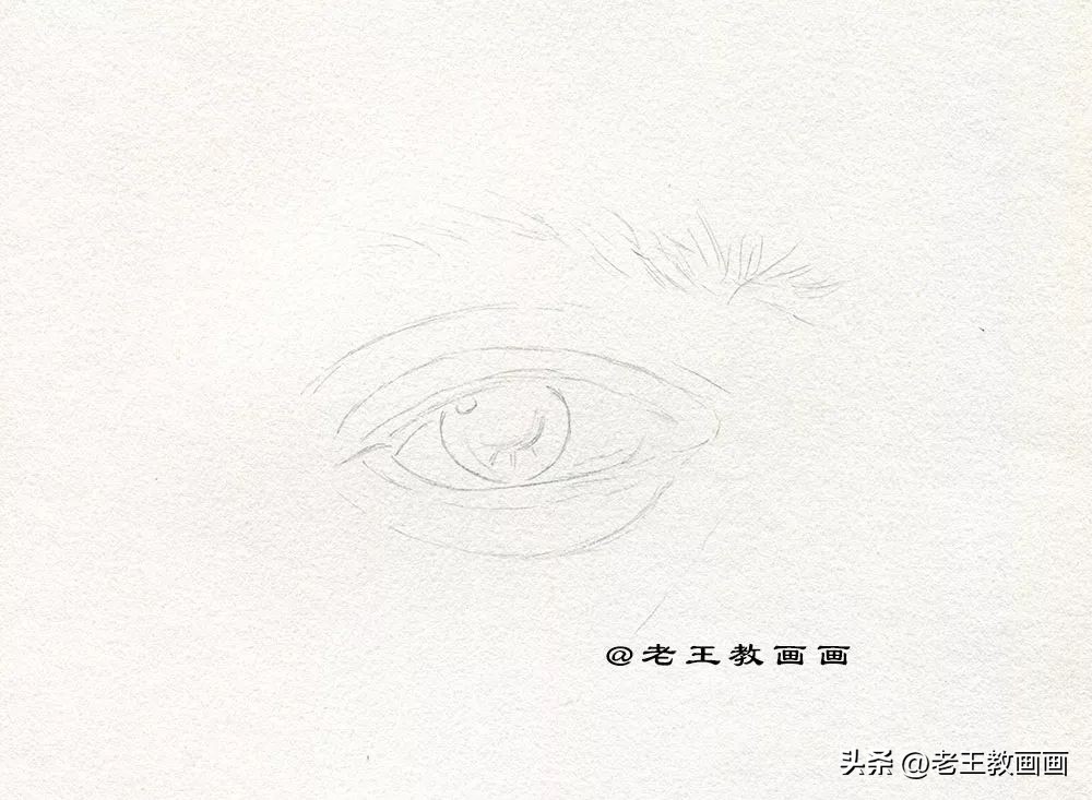 零基础如何画好素描,素描人物头像五官之眼睛结构