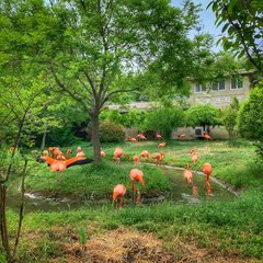 青岛人气景点盘点｜10个推荐景点及周边玩法攻略