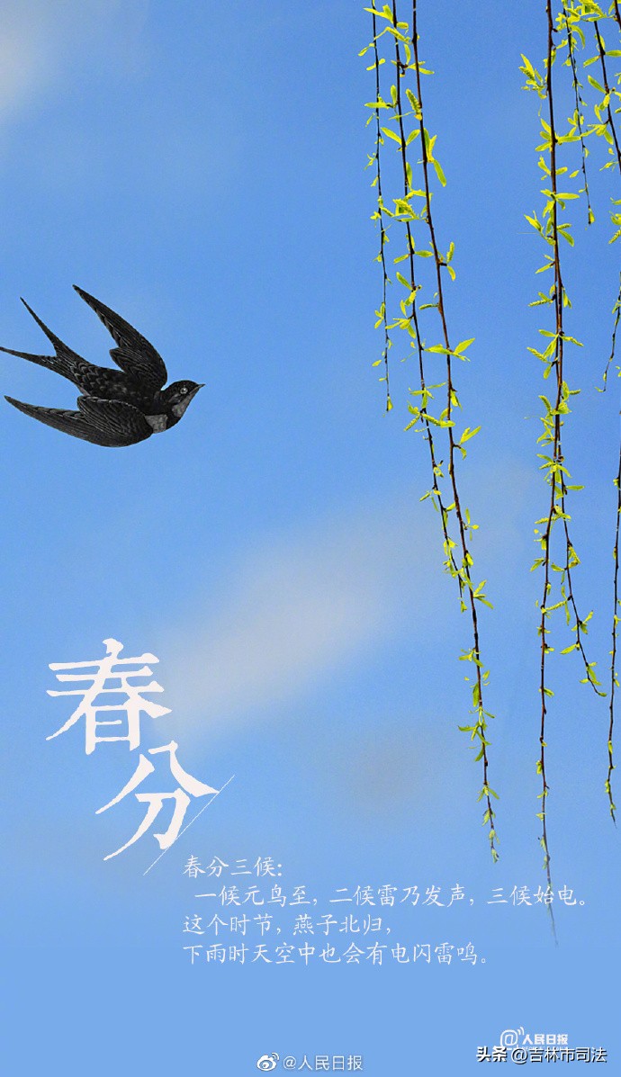 今日春分春暖花开,今日春分不负好春光