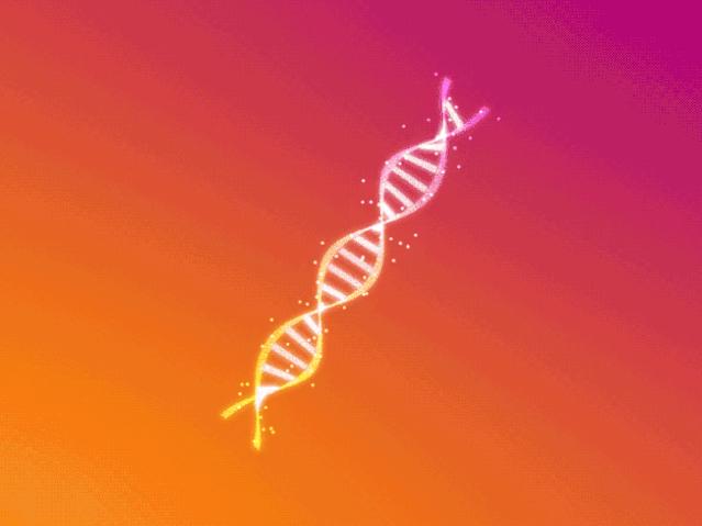 陨石降临地球开启了基因进化之旅,人类进化与外星陨石