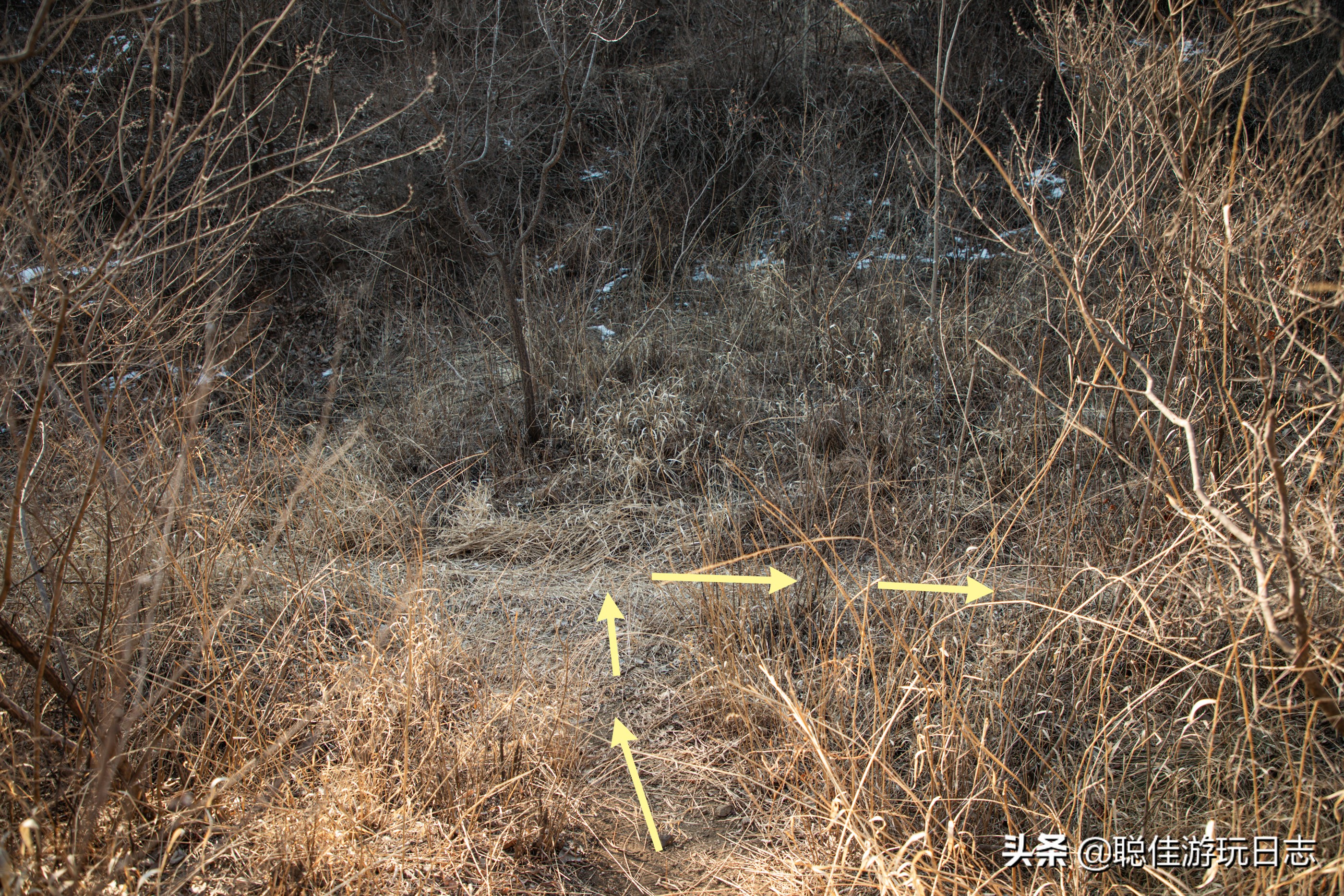 北京徒步龙潭峡,北京门头沟双龙峡有冰瀑吗