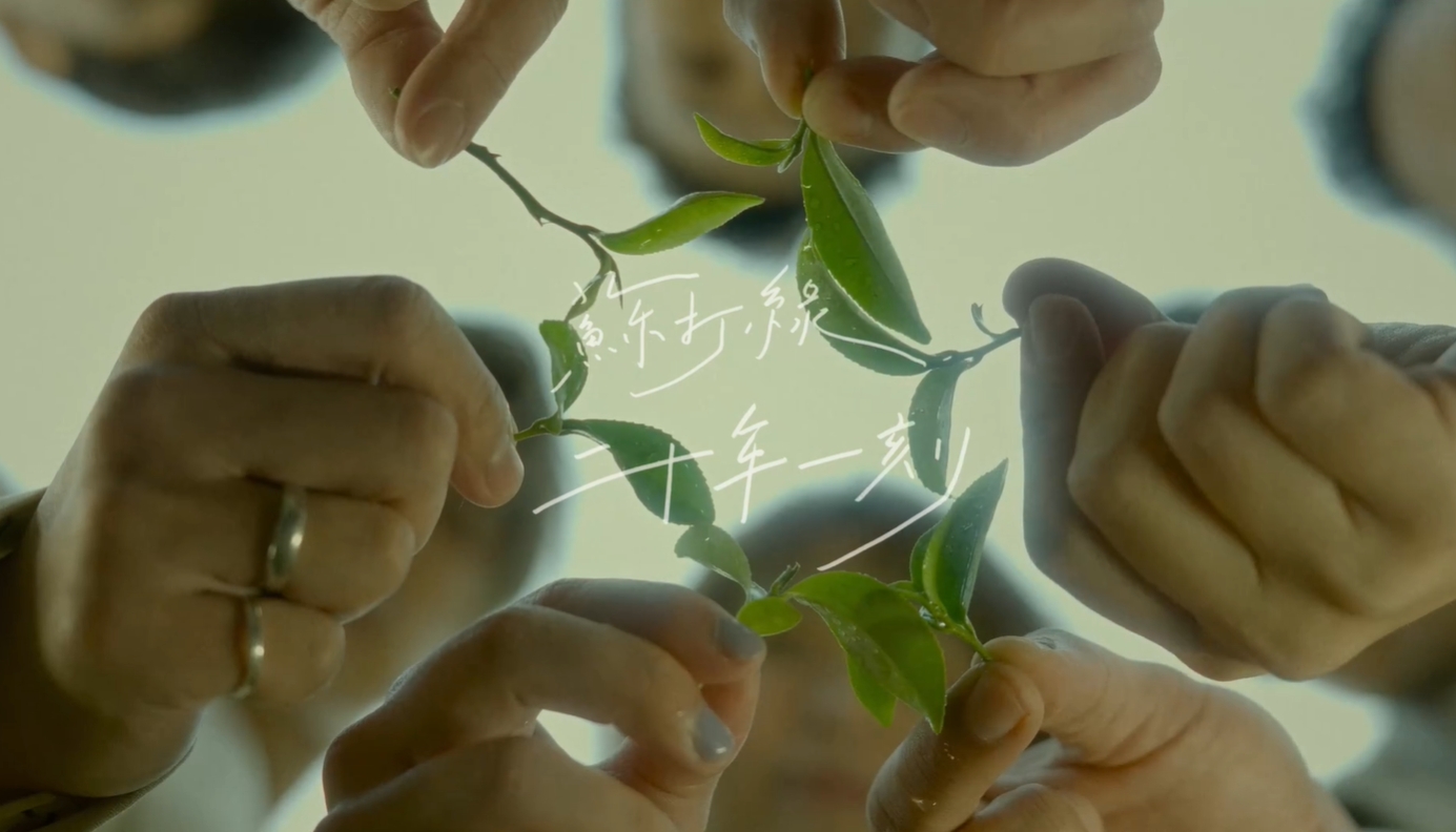 苏打绿二十周年巡演正式官宣,2024苏打绿北京演唱会时间