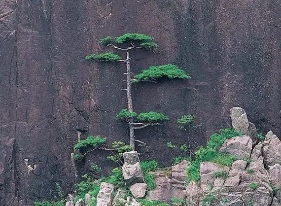 古诗词原创三首,广场舞原创七绝三首