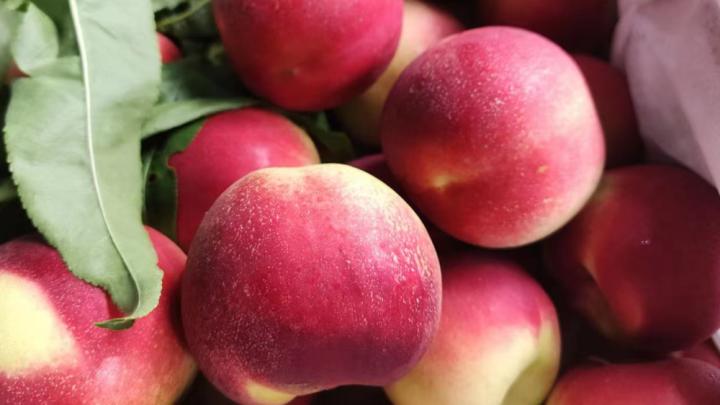 水果店怎么提高人流量,水果店怎样提高客流量和客单价