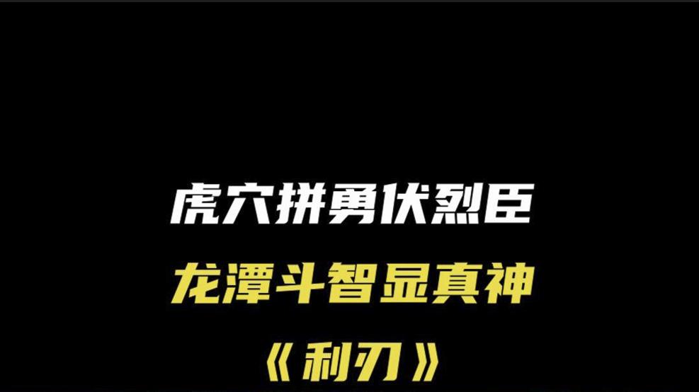谍战电视剧利刃,国产经典谍战电视剧免费观看大全