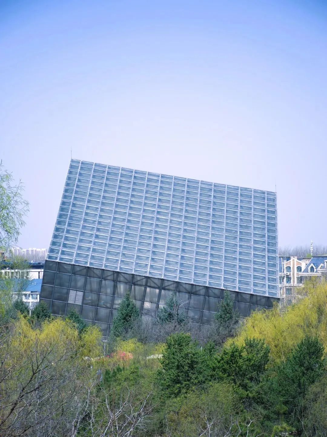 我们的妈妈小时候都是玩什么,妈妈也是个爱玩的孩子