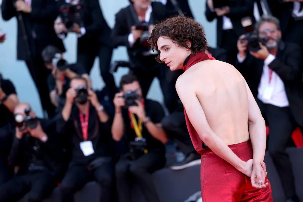 欧美明星红毯最新,威尼斯明星红毯