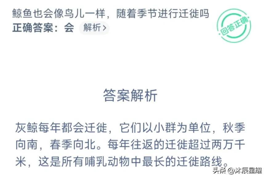 支付宝每日一题今日答案,支付宝答案每日更新