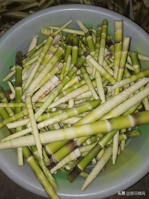 我的退休慢生活,我的退休生活该何去何从