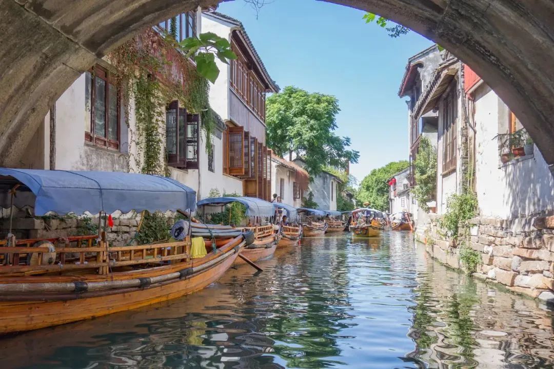 魔都宠物天地,魔都周边宠物友好景区