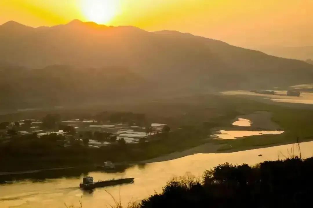 项目创业计划书,创业计划书格式