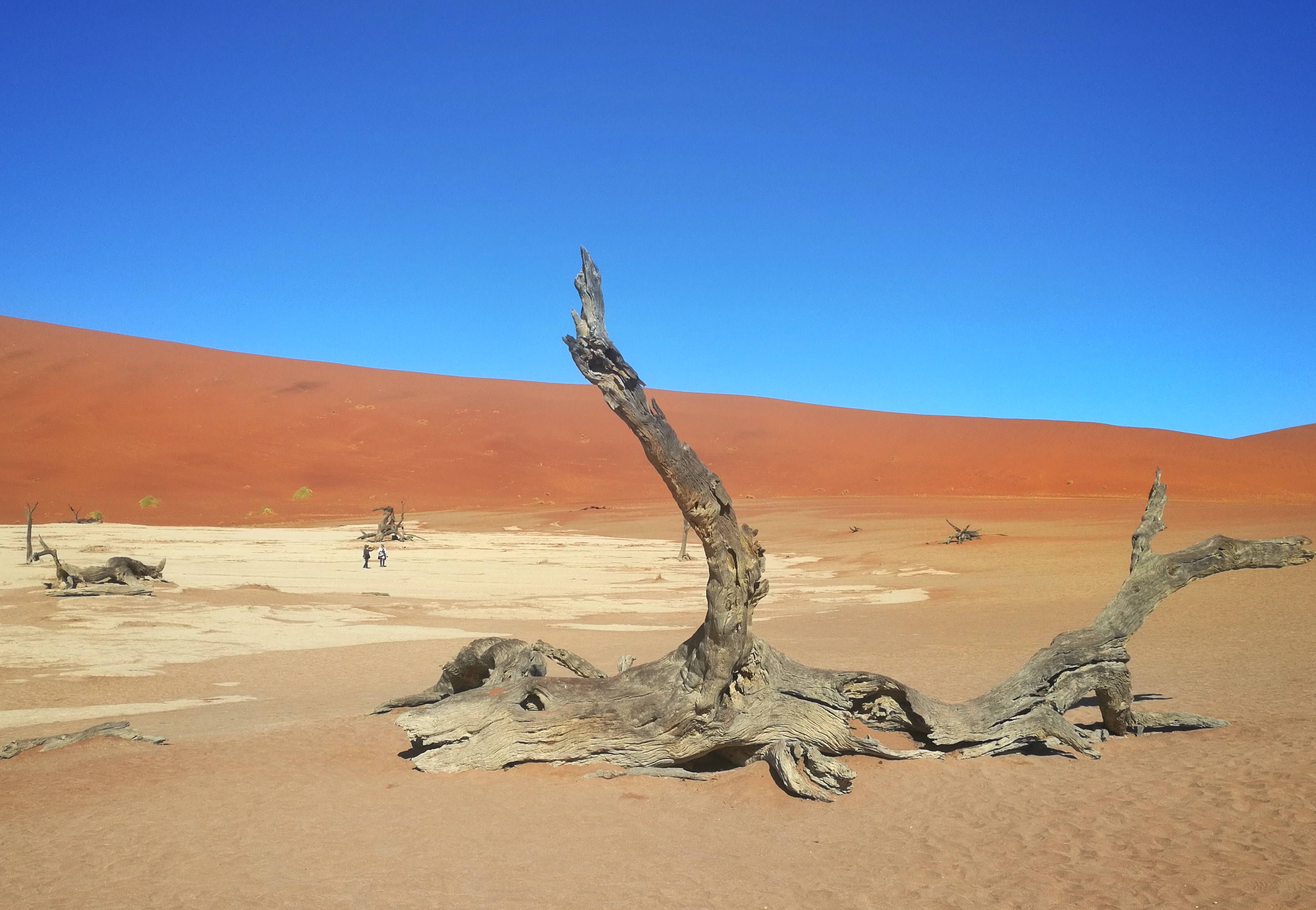 绾崇背姣斾簹绾㈣壊娌欐紶,绾崇背姣斾簹娌欐紶涔嬫梾