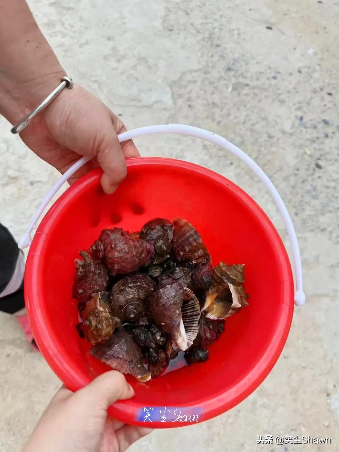 大连周边海岛游玩推荐,大连最美的10处海岛风光