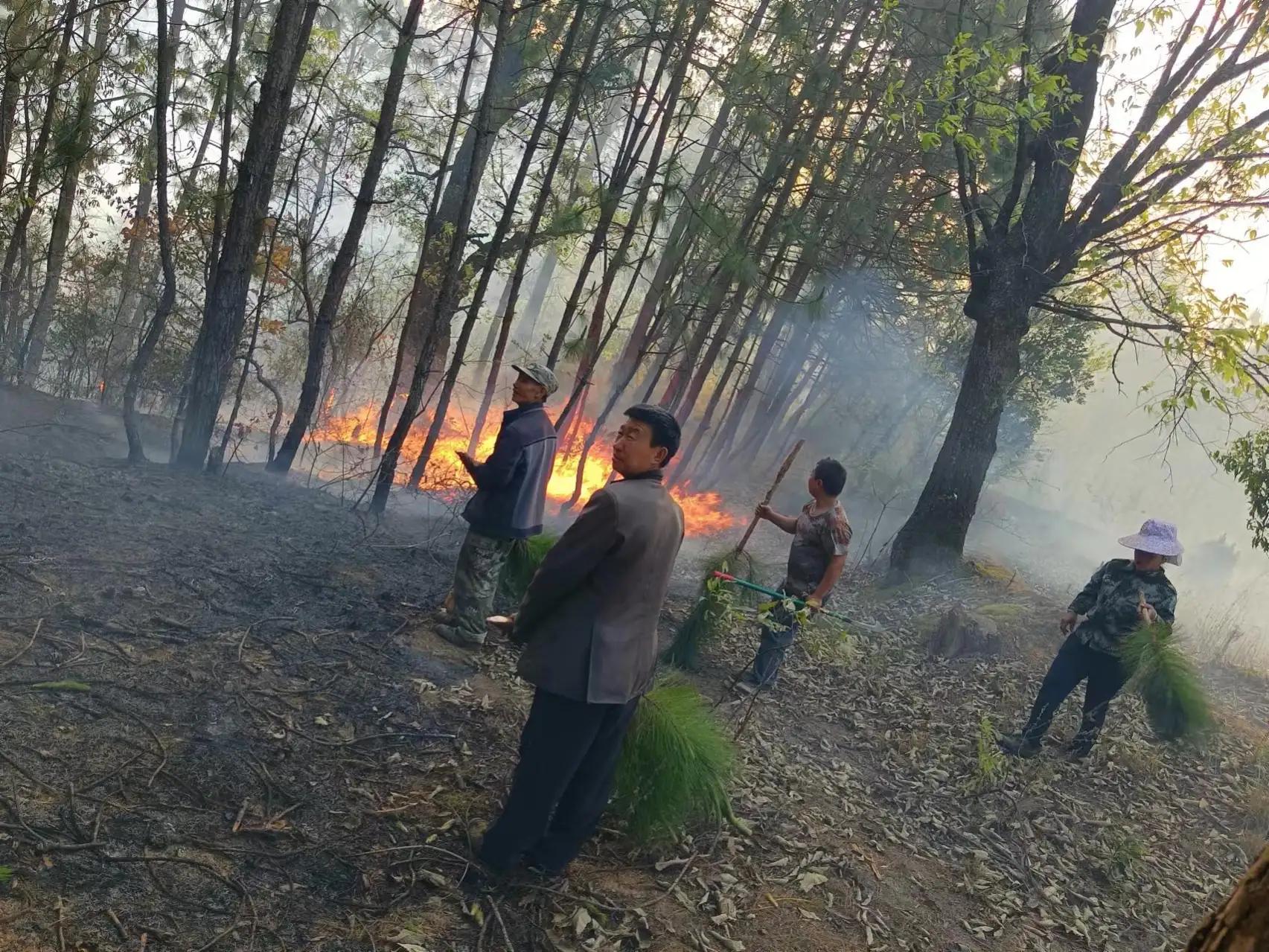 农村村干部真的要取消吗,真的取消农村村干部吗