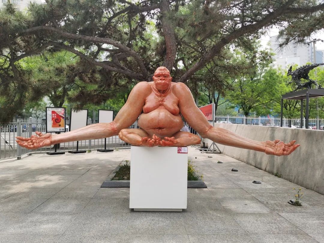 这个跨界大展开幕十余天后，现在孤独地封存在美术馆展厅里