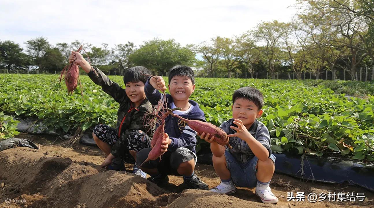 日本亲子农场主题乐园,日本最火亲子牧场