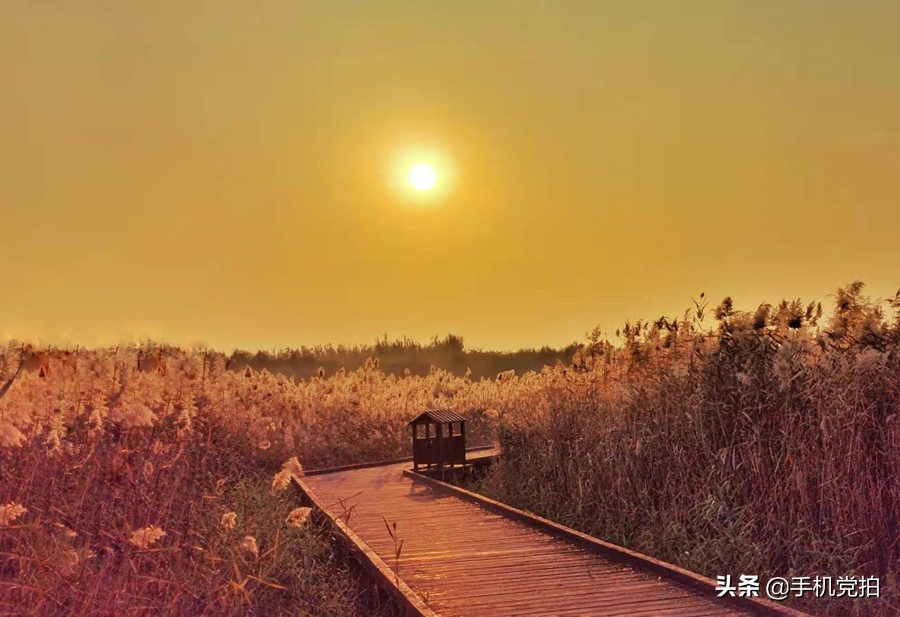 手机拍美景怎么拍,手机拍照片怎么拍风景好看