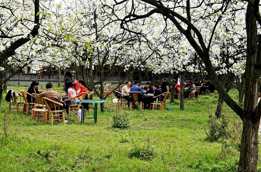 音乐、美食、优惠券~3月18日,一起进入郫都的花花世界吧!