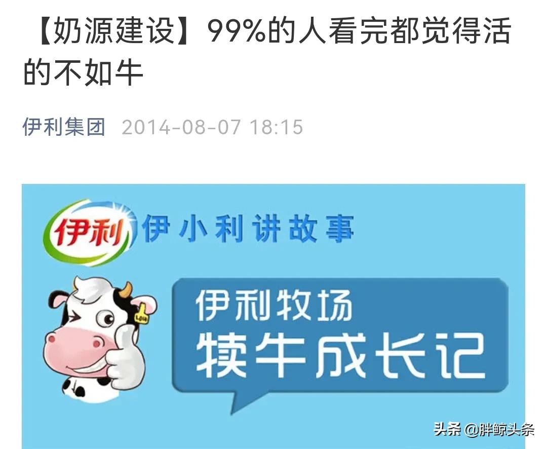 认养一头牛如何干翻蒙牛伊利,认养一头牛试喝奶粉