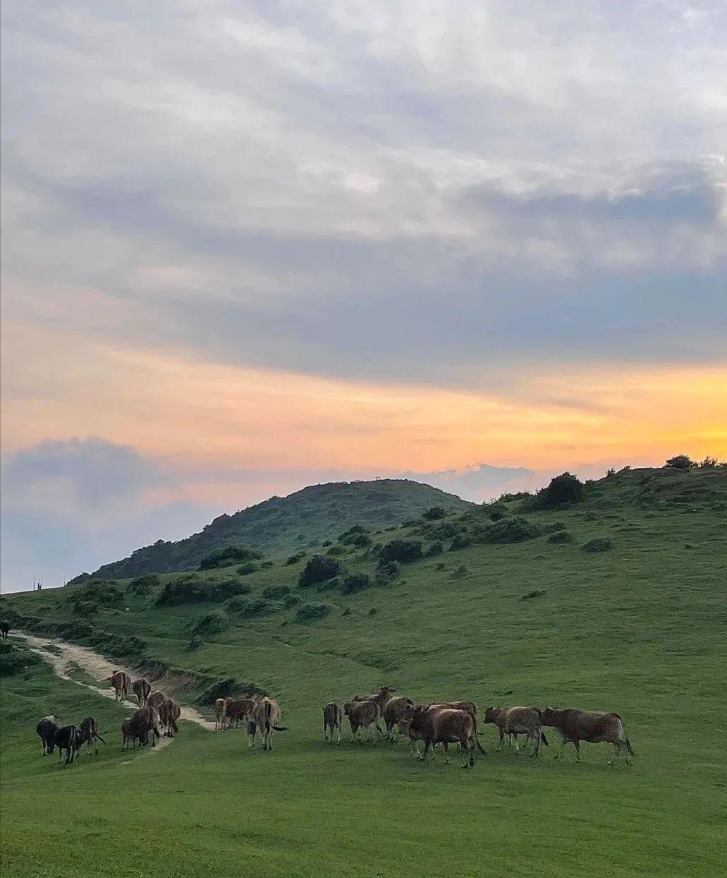 福州宝藏打卡地,福州的小众宝藏目的地