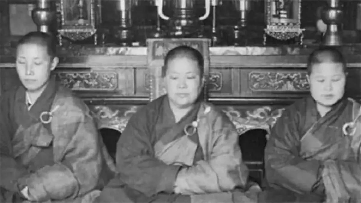 富家千金当尼姑,富家千金尼姑