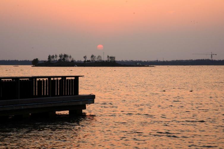 上海市内自驾游一小时哪里好,上海自驾游攻略线路推荐