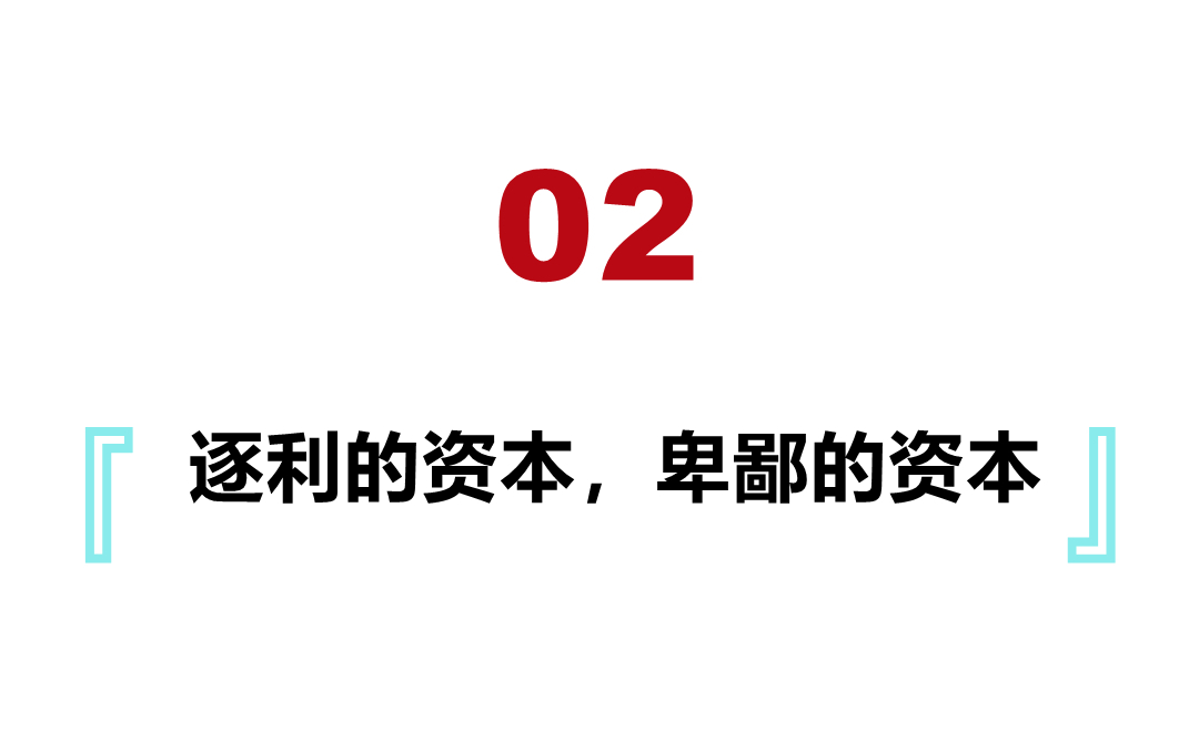 郁金香泡沫对于荷兰有何影响,荷兰郁金香泡沫最大的赢家是谁