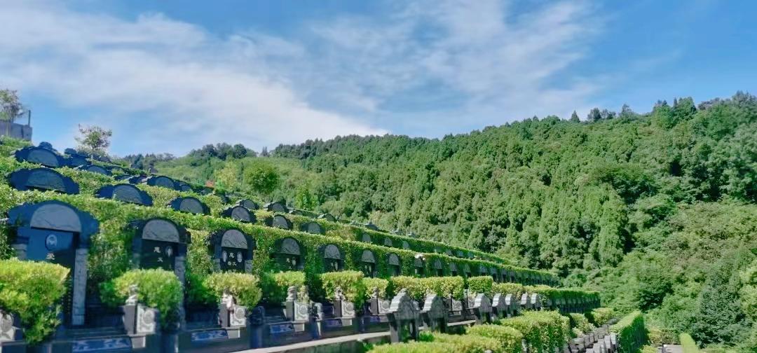 真武山憩园公墓上山道路,成都市公墓