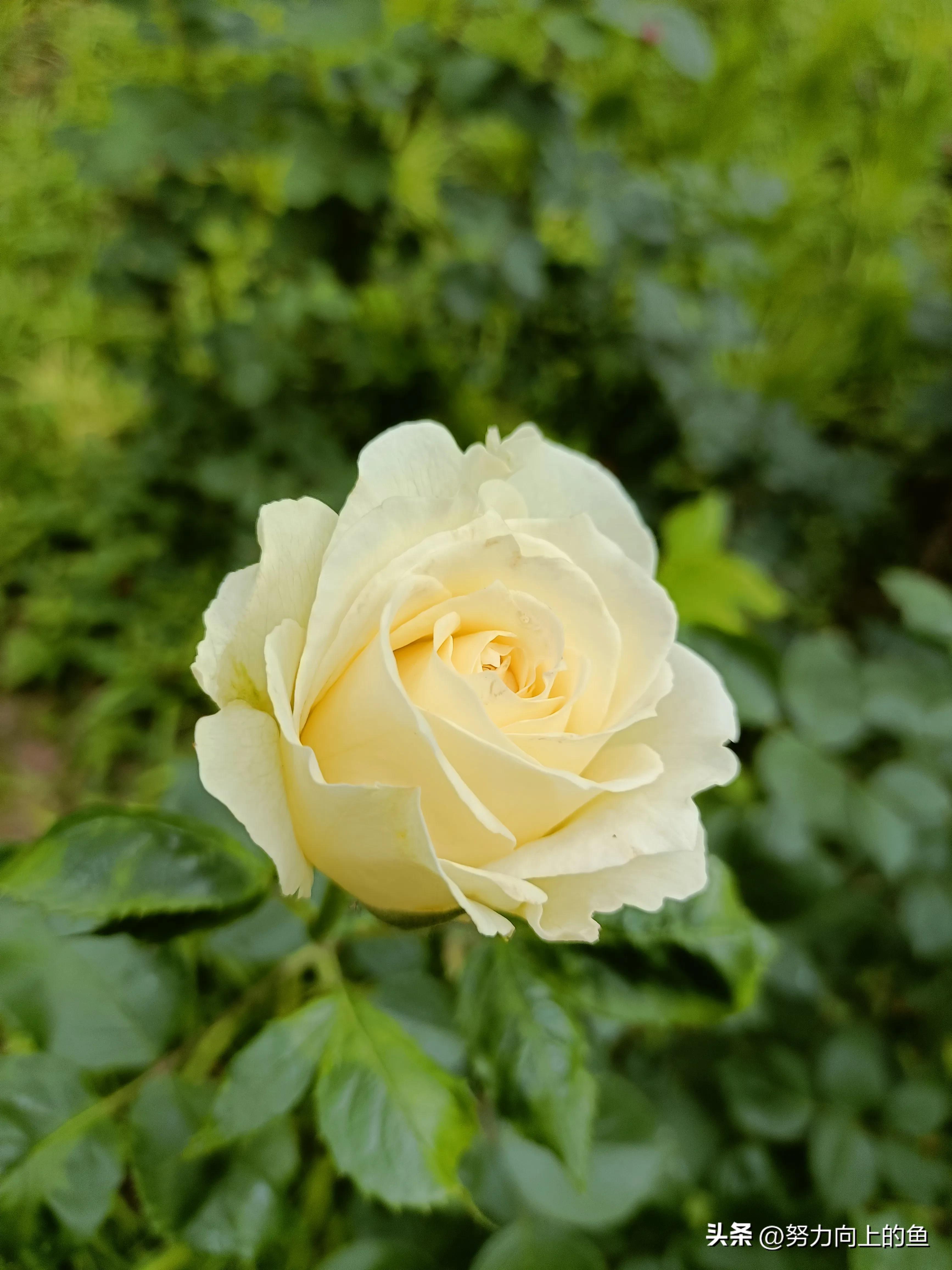 丈夫不愿意给妻子买衣服,丈夫一千多件衣服从未给妻子买