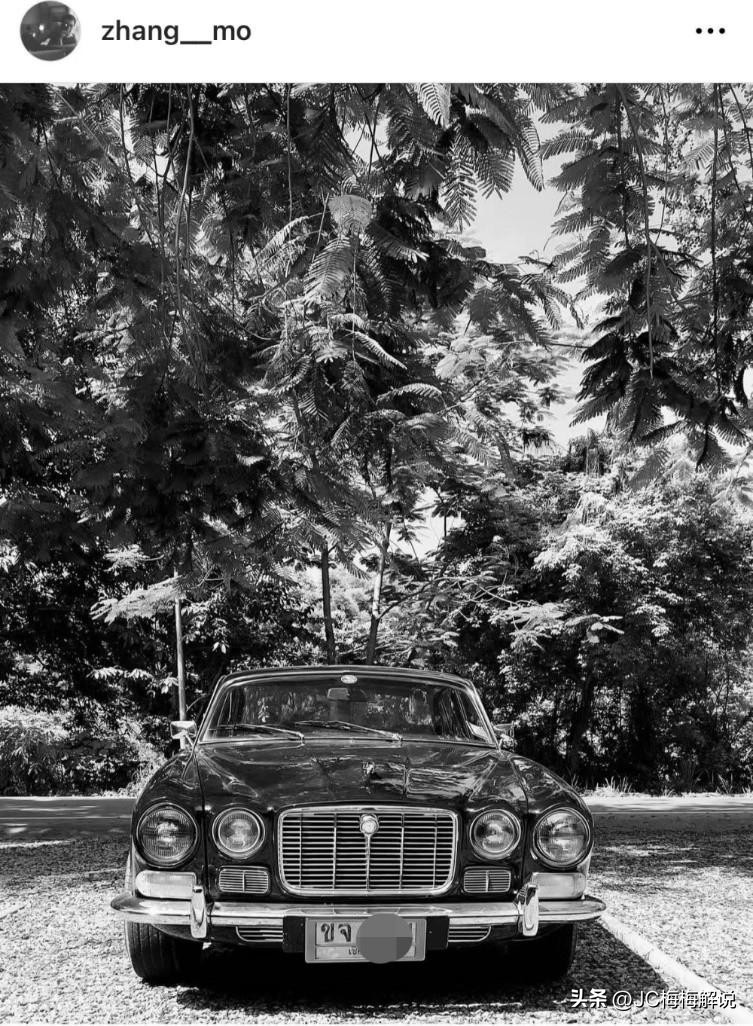 张默抽什么牌子雪茄,张默在国外抽的雪茄多少钱一支