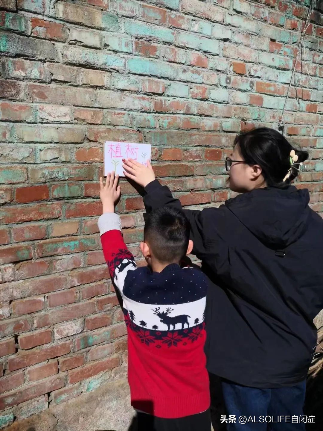 一个特需家庭的融合农场实验