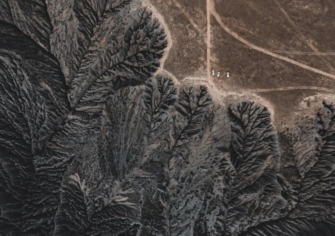 独库独行,独库南库