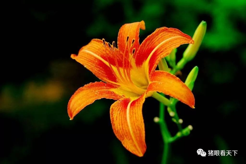 高冷气质文艺名,比较文艺点的名