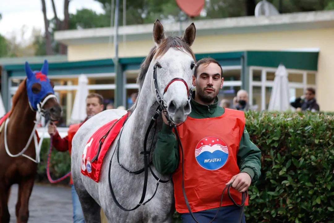 鍘熸潵鐨勮寘鍙伴厭,涓変竴閲嶅伐鑼呭彴