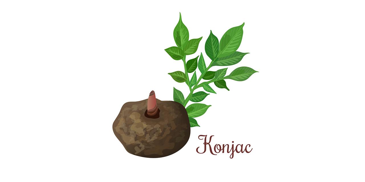 中国成为世界第一大工业国,中国魔芋产业是怎么形成的