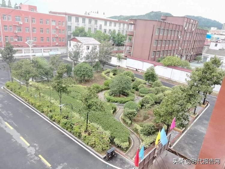 文化引领学校发展,文化引领高质量发展