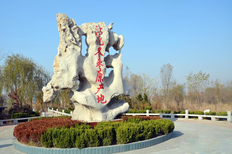 沾化冬枣水果之王,冬枣排名第一的水果