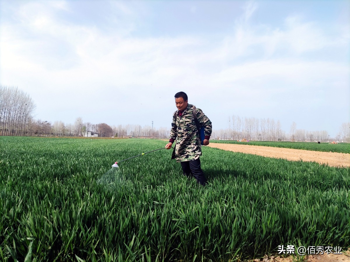 辉丰农药戊唑醇,近期农药杀菌剂价格趋势