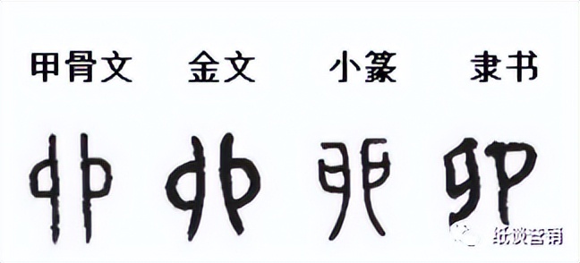 十二地支本身的字义,十二地支的详尽解释图