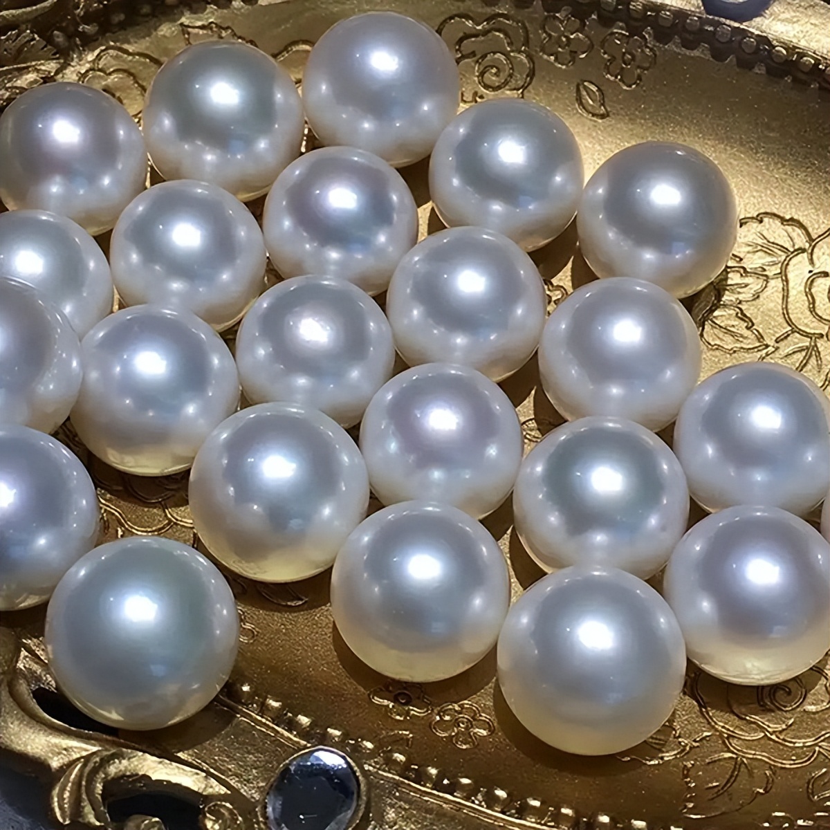 哪种珍珠最珍贵淡水珍珠海水珍珠,海水珍珠和akoya珍珠的区别